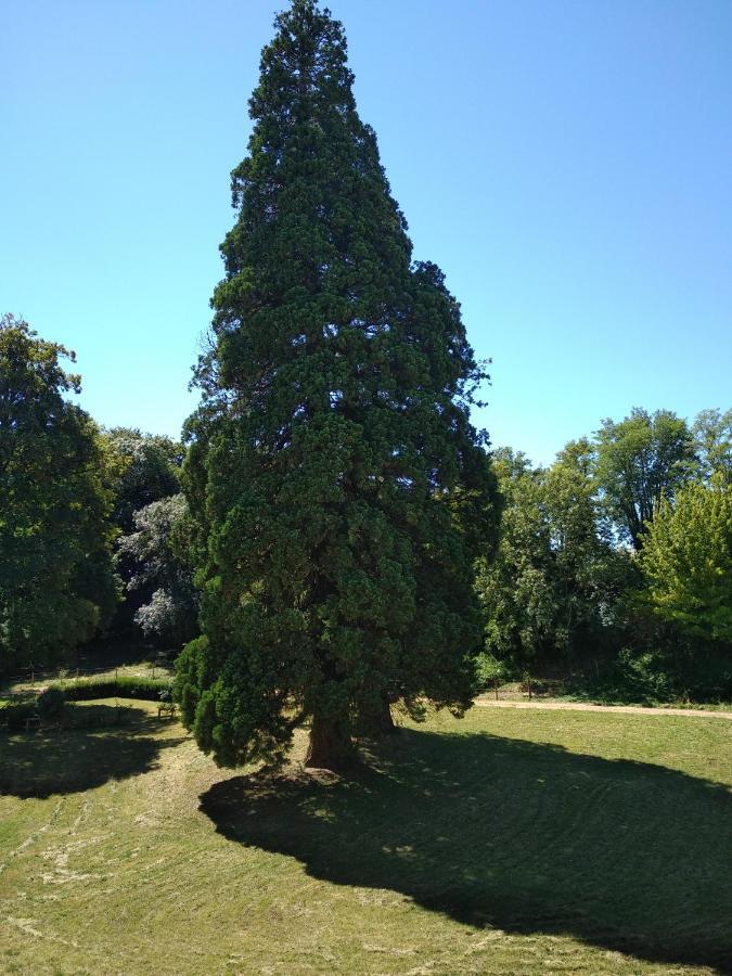 Château de St Alyre Hotel Sanssat Exterior foto